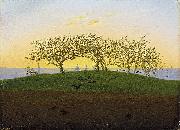 Caspar David Friedrich Hill and Ploughed Field near Dresden china oil painting artist